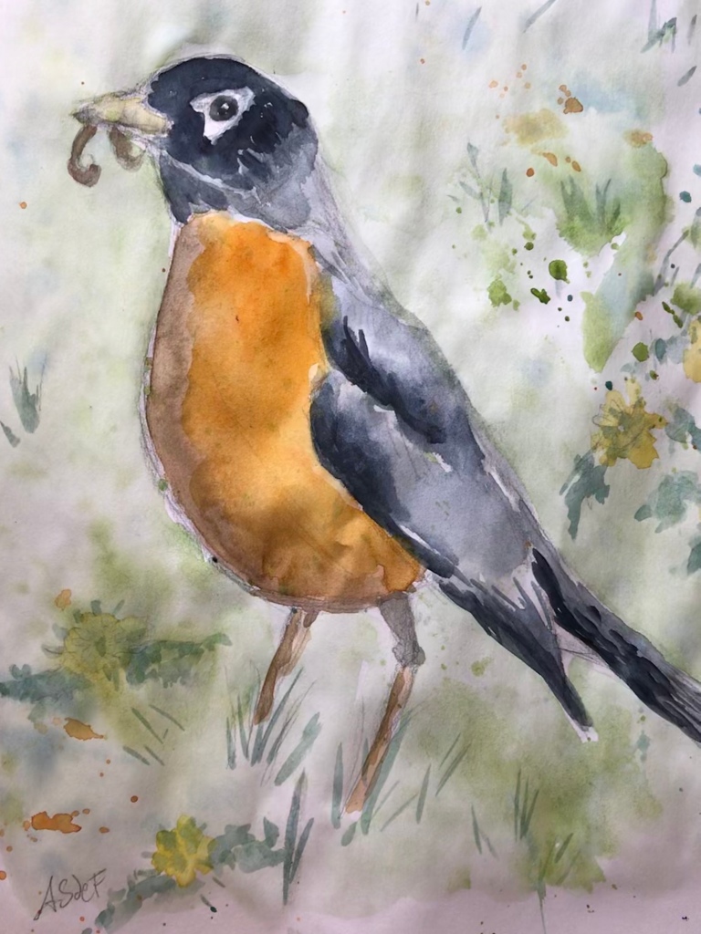 Robin eating a worm, water color painting